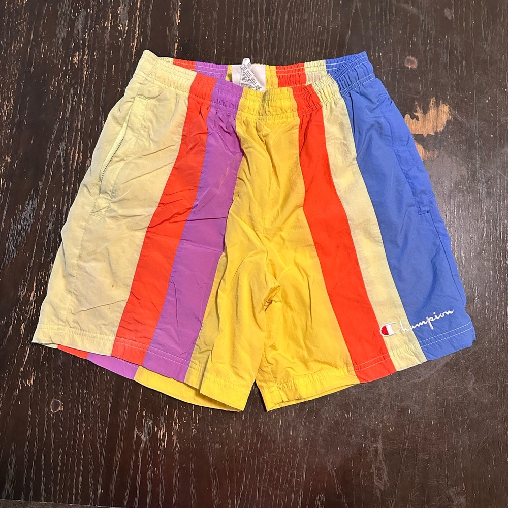 VINTAGE Champion Multicolor Striped Swim Shorts